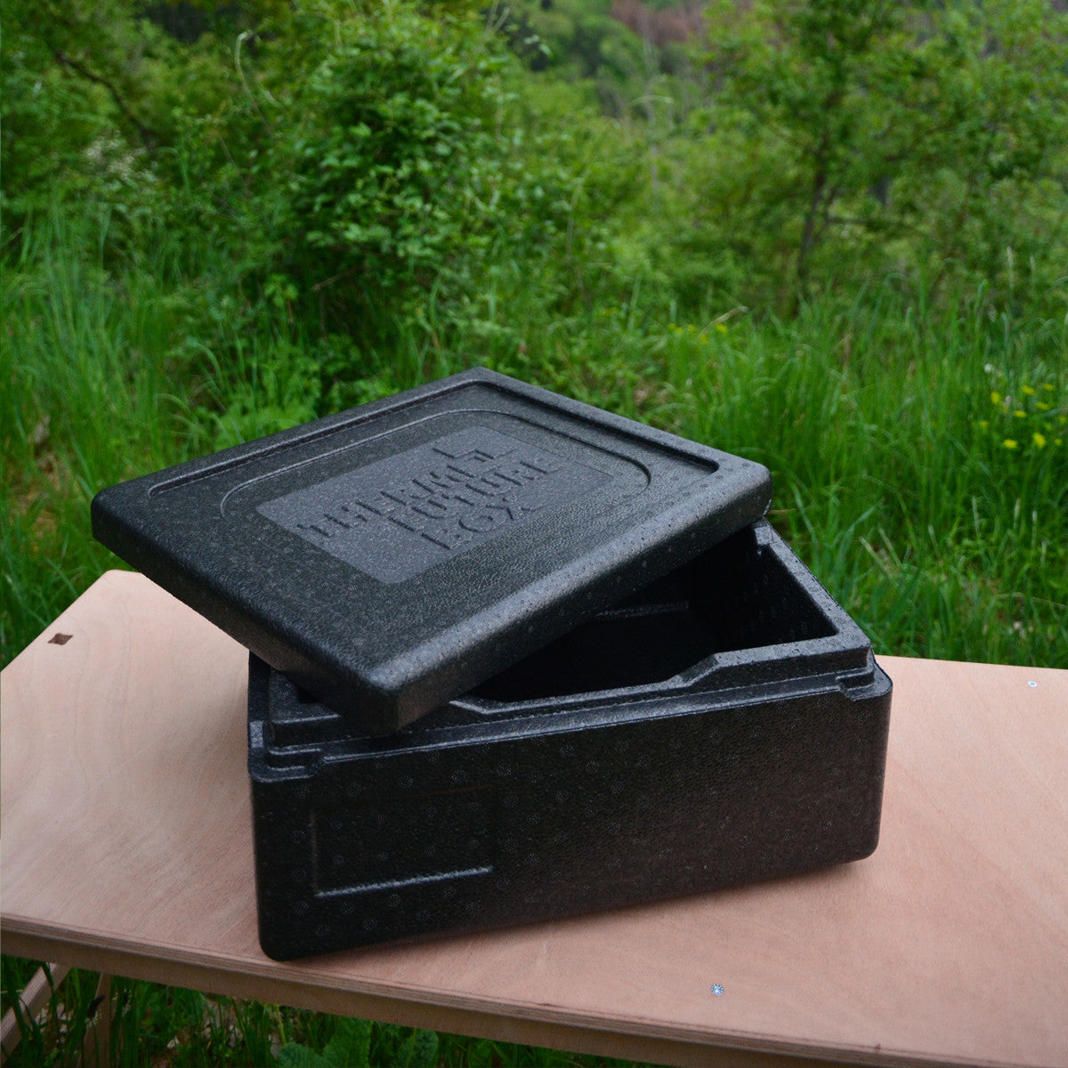 Glacière passive - 10L/19L