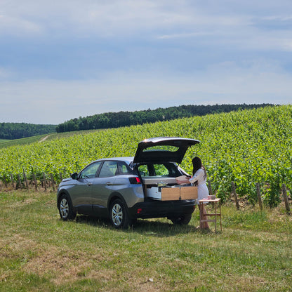 Box Medium - Aménagement voiture SUV et Ludospace